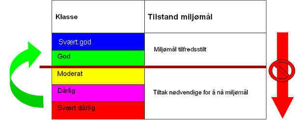 Karakterisering, data om påvirkninger og risikovurdering samles og legges inn i Vann-Nett. Som ett ledd i karakterisering skal det også gjennomføres en økonomisk analyse.