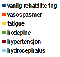 Trinn tilbake i mobiliseringen 15 av 37 pasienter trengte pause eller trinn tilbake i mobiliseringen. 8 pasienter (7 i good grade og 1 i poor grade) hadde moderate eller alvorlige vasospasmer).