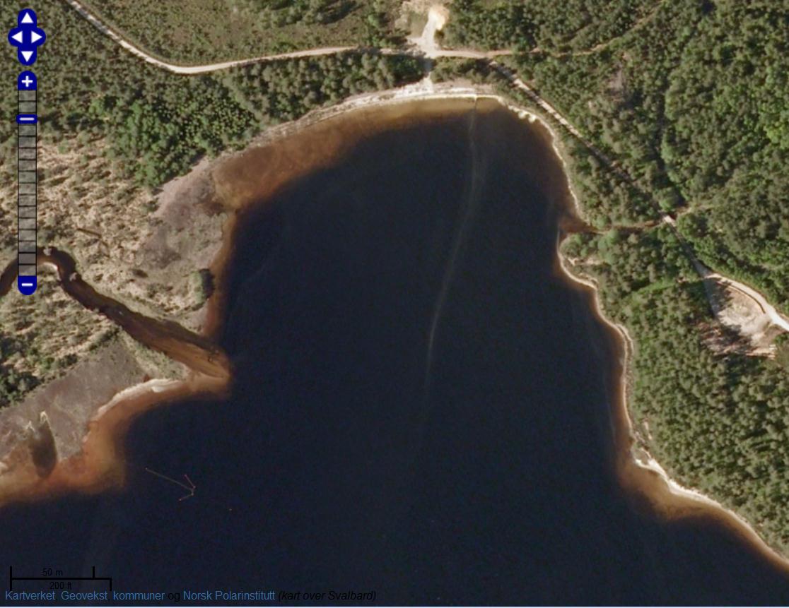øya var lengdegruppe 18 cm den mest tallrike, som det er antydet kan samsvare med utsettingen i 1990. Men på elfiske den 4.09.