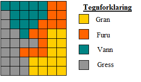 Kapittel 2 Metode og teorig Raster Et rasterdata representerer rommet som en matrise (grid) av rektangler eller celler (piksler).