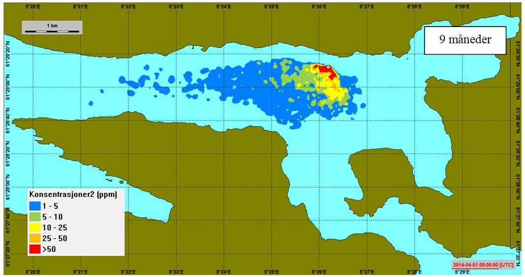 Figur 5-1 Spredningsbildet i Førdefjorden uttrykt som makskonsentrasjoner gjennom hele vannsøylen etter 2 måneder