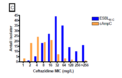 KAN MAN FENOTYPISK SKILLE MELLOM ESBL M-C OG KROMOSOMAL AmpC?