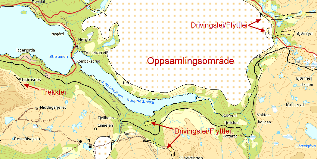 Det er imidlertid gjort artsobservasjoner av enkelte rødlistede arter i nærheten av banen. Det gjelder bl.a. gaupe og jerv (særlig strekningen Rombak-Katterat).