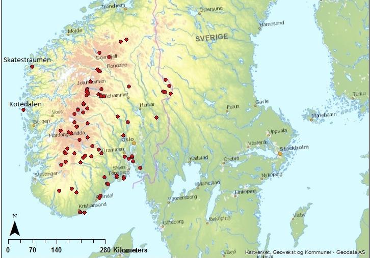 Hver enkelt spiss har blitt vurert og tatt bile av og er sien ført inn i et skjema, er et blir fortalt om spissens form og anre karakteristikker.