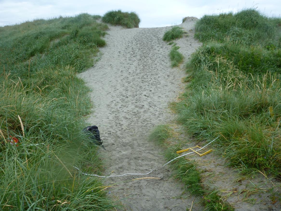 Stidybden er høy der hvor stokkene ligger, rundt 25 cm, og har flere synlige plan som skiller der hvor det er gjort forvaltningsinngrep og vanlig overgangssone.