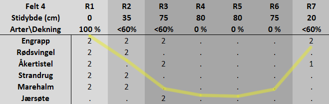 Slitasjefelt 4 Dette slitasjefeltet er det dypeste av alle (se tabell 5.7.4). Det har en stidybde på 80cm og befinner seg i primærdynene.