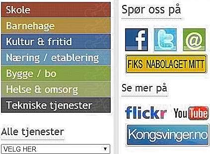 miljøvern, undervisning barn i institusjoner, vilt- og naturforvaltning, landbrukskontorene, lovfestet rett til 10-årig grunnskole, SFO, musikk- og kulturskoler, LAR, psykisk helse,