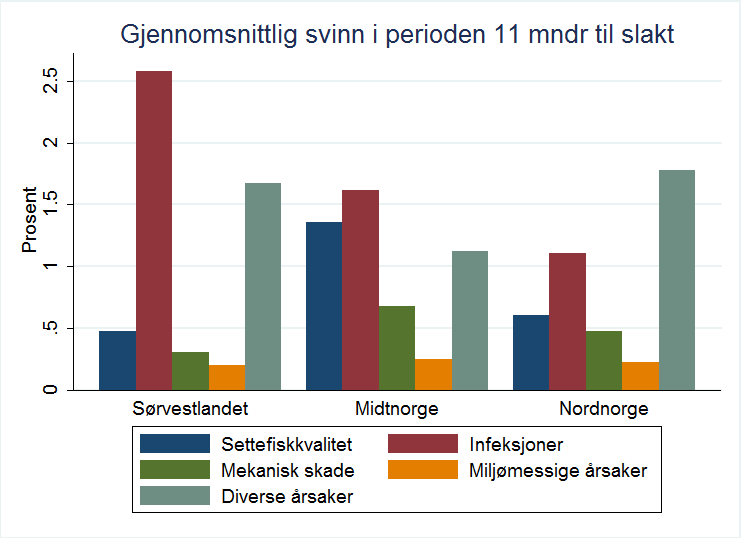 Svinn 11.