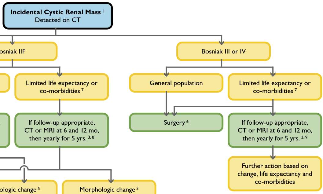 ACR white Paper 2010 Incidental Cystic Renal Mass on