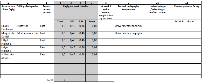 Programmet er planlagt drevet med 5 personer i kjernestaben. Alle vil ha kompetanse på utviklingsfeltet.