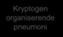 Interstitielle lungesykdommer (ILD) ILD med kjent årsak Idiopatisk interstitiell pneumoni (IIP) Granulomatøs ILD Annen ILD 55% Idiopatisk lungefibrose (IPF) IIP forskjellig fra IPF 25% Nonspesifikk