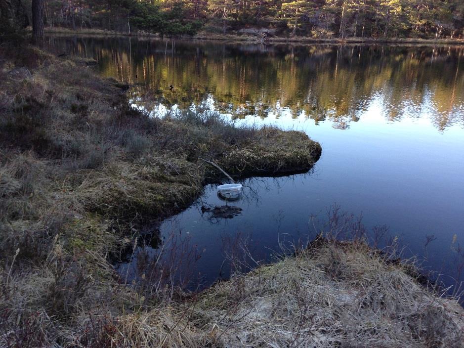 13 Visuell observasjon av dammene Feltarbeidet ble utført under gode forhold, høy temperatur og vindstille.