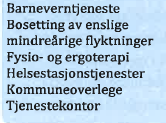 4.3.5 Revisors anbefalinger av forvaltningsrevisjonsprosjekter barnehage Med bakgrunn i ovennevnte risikovurderinger innenfor sektor barnehage, har vi følgende forslag til