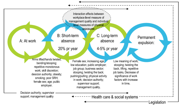 Arbeidsrelaterte prediktorer for return to work (RTW) About 100 different determinants of RTW outcomes were identified. Their impact varies across different phases of the disablement process.