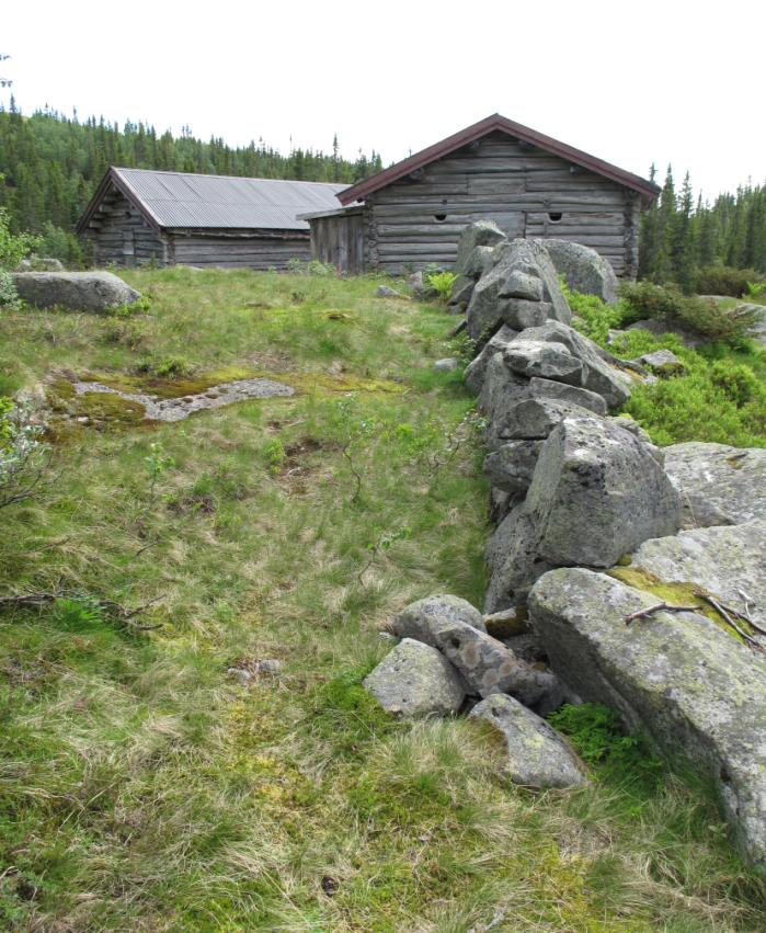 ÅRSRAPPORT FRA STATENS NATUROPPSYN TIL