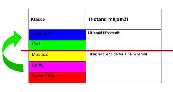 Konsekvensutredninger Kartlegge resipient(er): Vurdere økologisk tilstand og miljømål for resipienten og eventuell innvirkning av utslippet tålegrense for midlertidig utslipp Avdekke natur- og