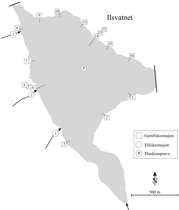 2 ILSVATNET INNSJØEN Ilsvatnet (innsjø nr 1473) ligger 586,8 moh. ved HRV og 579,8 moh. ved LRV, som gir en reguleringshøyde på 7,0 meter. Vannstand før regulering var 582,6 moh.