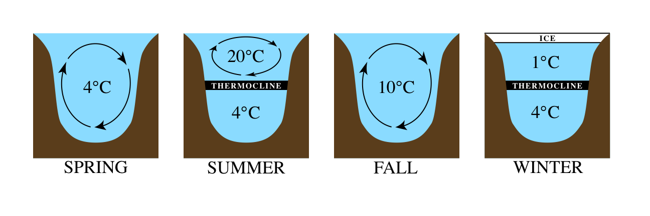 Lagdeling i vannmasser Termoklin- lag mellom vann med to forskjellige temperaturer Haloklin- lag mellom ferskvann og saltvann Pyknoklin- lag mellom vann med to forskjellige tettheter (temperatur