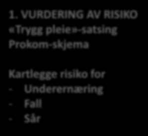 1. VURDERING AV RISIKO «Trygg pleie»-satsing Prokom-skjema DIPS Kartlegge risiko for - Underernæring - Fall - Sår 1.