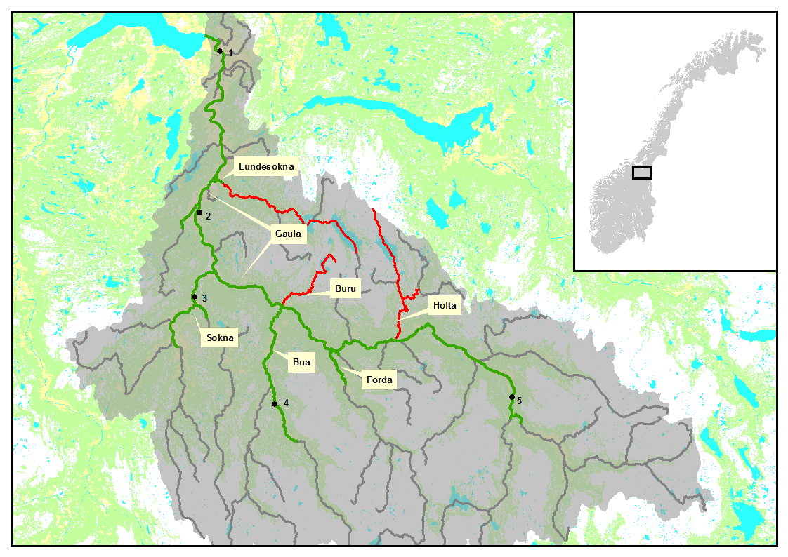 1 Innledning 1.1 Områdebeskrivelse Gaulavassdraget er et nasjonalt laksevassdrag som munner ut i den nasjonale laksefjorden, Trondheimsfjorden ved Melhus (figur 1).