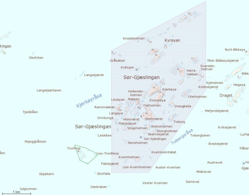 I tillegg eier kommunen 22 bygninger, der eierskapet er organisert gjennom et KF med navn Kystmuseet i Nord-Trøndelag Woxengs samlinger Eiendom - Vikna KF.