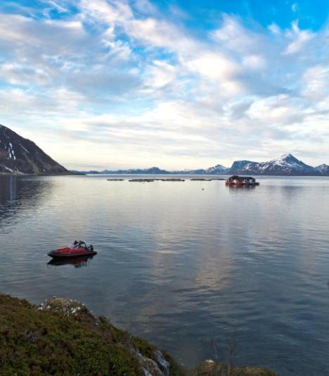 Cermaq Cermaqs visjon er å være et globalt