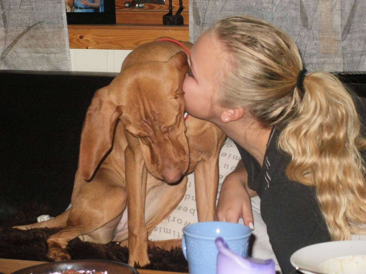 som han hentet fantastiske Tina fra! Det var da den virkelige vizslafeberen tok over og jeg klarte nesten ikke å spise eller sove den nærmeste tiden. 27. Juli ble Lihku født!