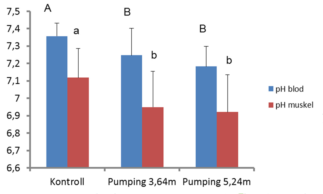 Pumping Pumpehøyde Forsøk med manipulering av høyde: Liten sannsynlighet at pumpehøyde påvirker fiskens velferd og