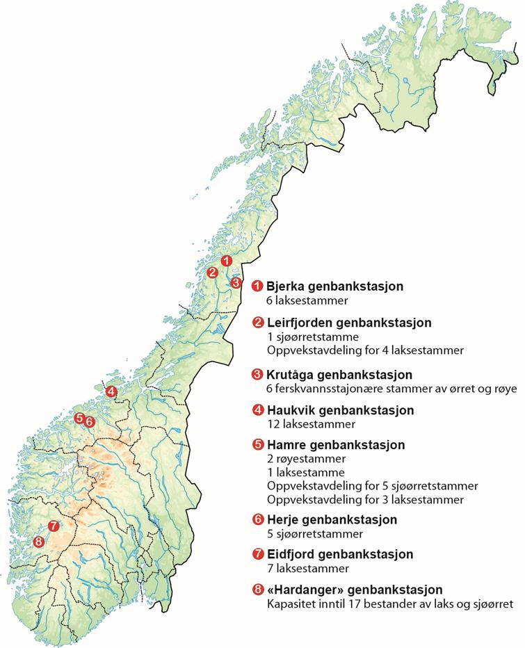 Reetablering av fiskestammer 2014-2016 «Det skal legges til rette for at fiskebestandene tilbakeføres slik de var før vassdraget ble infisert av