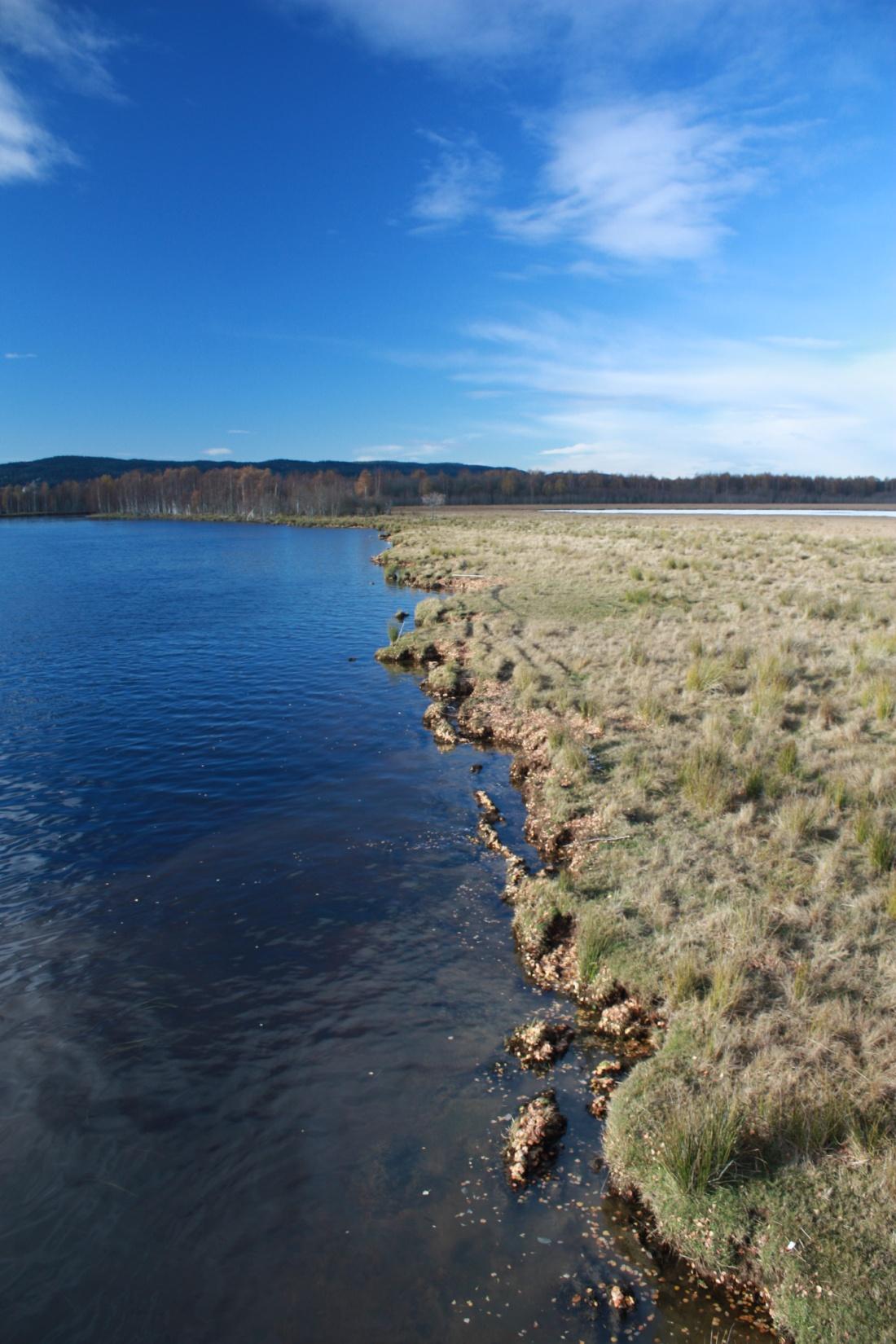 Landbruksdrift/skjøtsel gjennom beiting betinger forutsigbar vannstand.