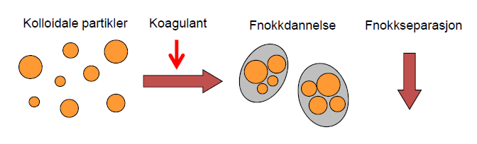 Eit ionebytteanlegg utnyttar den negative ladninga til humusmolekylet. Humusmolekylet byttes ut med ion med same ladning i eit ionebytte-medium. Denne metoden brukast berre for små anlegg i Noreg. 2.