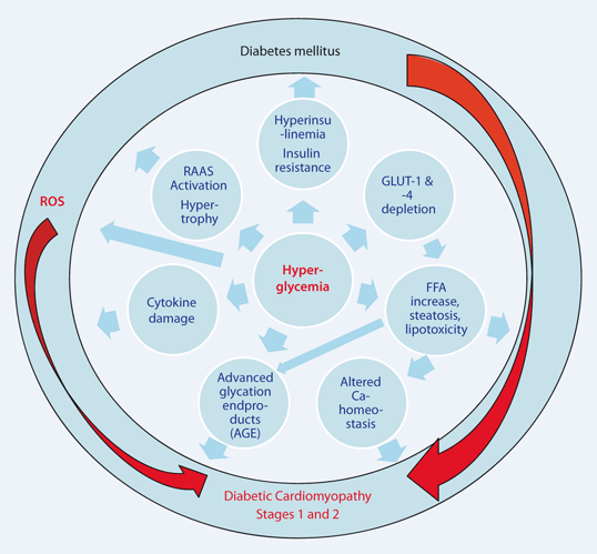 Hyperglycemia as the initial trigger