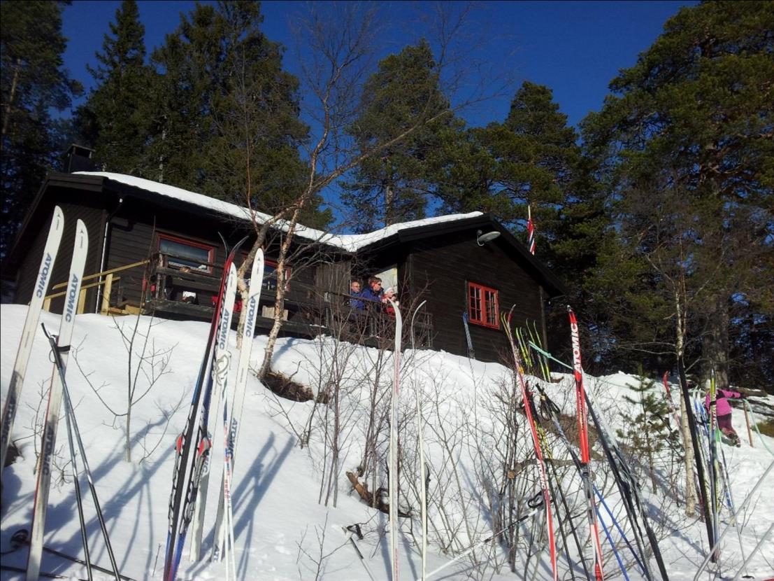 Om å være vertskap på Vulusjøhytta Kafédriften på Vulusjøhytta er skiavdelingens viktigste inntektskilde.