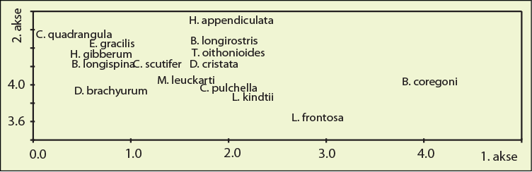 Figur 24. Artsplott (DCA-analyse) basert på fravær/tilstede data. (outlayerene D. longispina og D. galeata er fjernet). Figure 24.