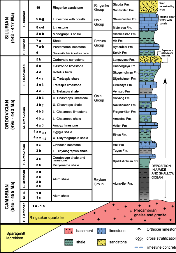 Fig 4 Stratigraphy of the