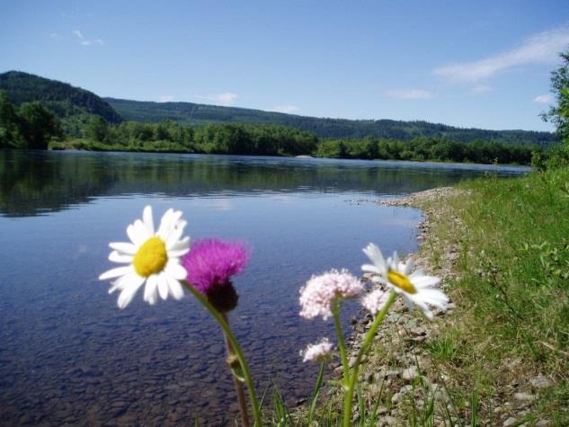 Vellykket omsorgssamling Omsorgssamlingen for landsråd omsorg og distriktsråd omsorg 2014 gikk av stabelen helgen 24. - 25. mai,og samtlige distriktsråd omsorg var tilstede på årets samling.