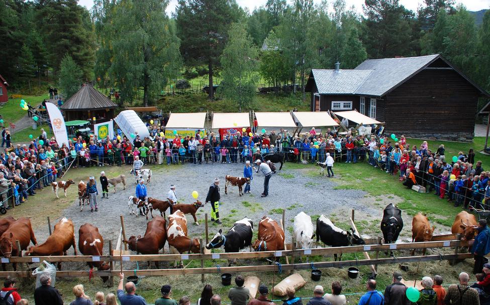 Langtidsprogram - 2017 Endelig