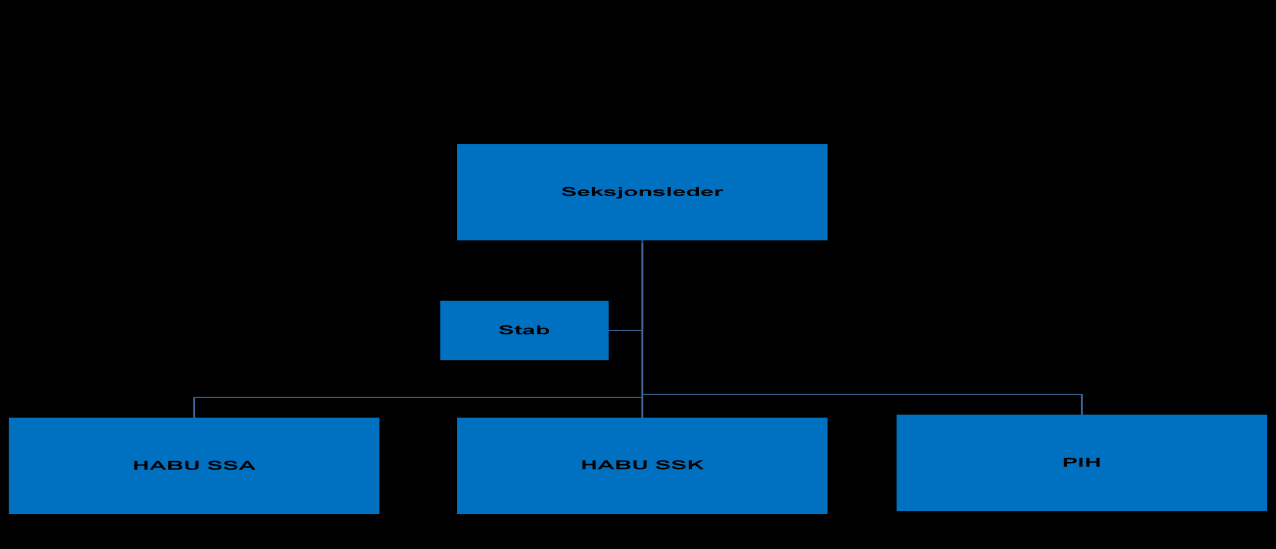 Forord Habiliteringsseksjonen for barn og unge () er spesialisthelsetjenesten på Agder for barn og unge med ulike funksjonsnedsettelser i aldersgruppen 0-18 år.