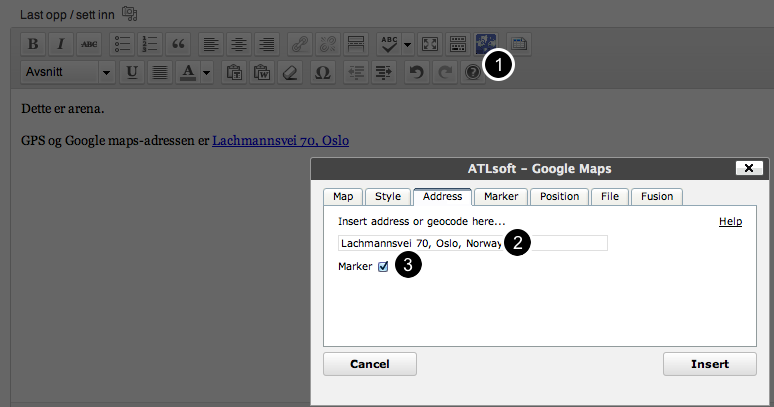 Legg inn som lenke Skriv inn tekst. Marker adressen.