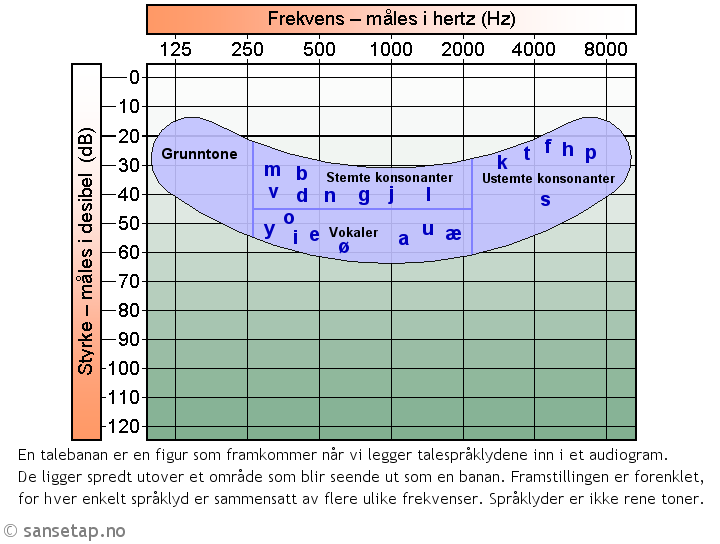 Figur 6: Illustrasjon av språklydenes posisjon i frekvensspekteret den såkalte talebananen. Kilde: http://www.sansetap.