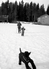 Dette er jo blitt litt samlesider for alt annet enn utstilling Forrige nummer hadde vi et flott referat fra en LP-puddelmamma som hadde vært på kurs hos den kjente Etologen Lars Fält og i neste