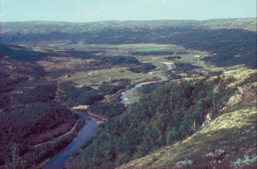 Primitivetider 2011 13. årgang Figur 1. Innerdalen i Kvikne, Hedmark 1980. Foto Aage Paus.