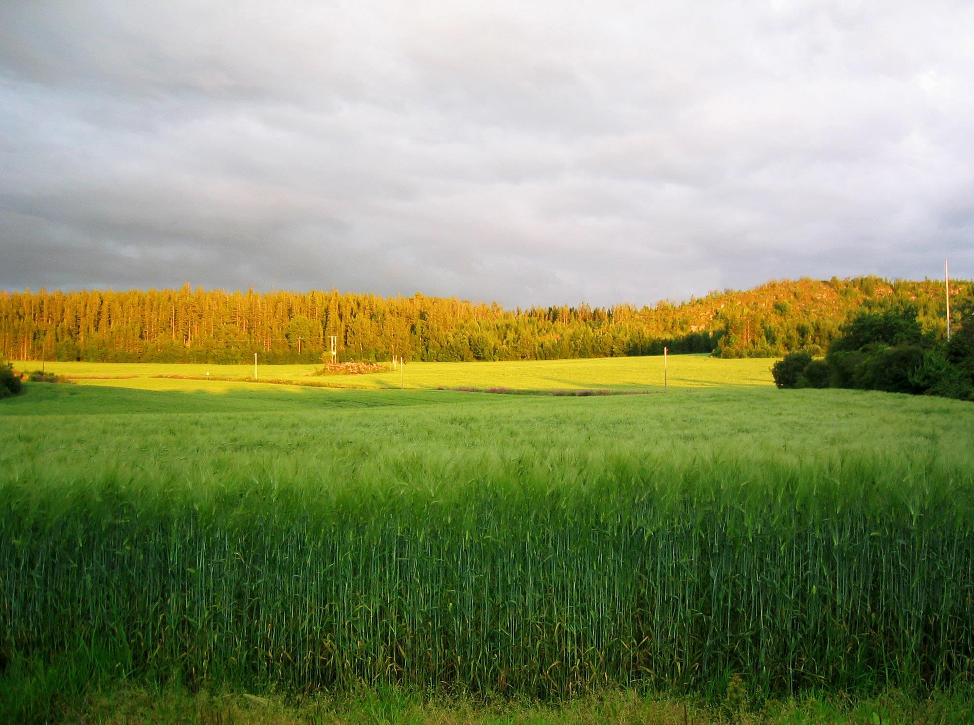 Velkommen