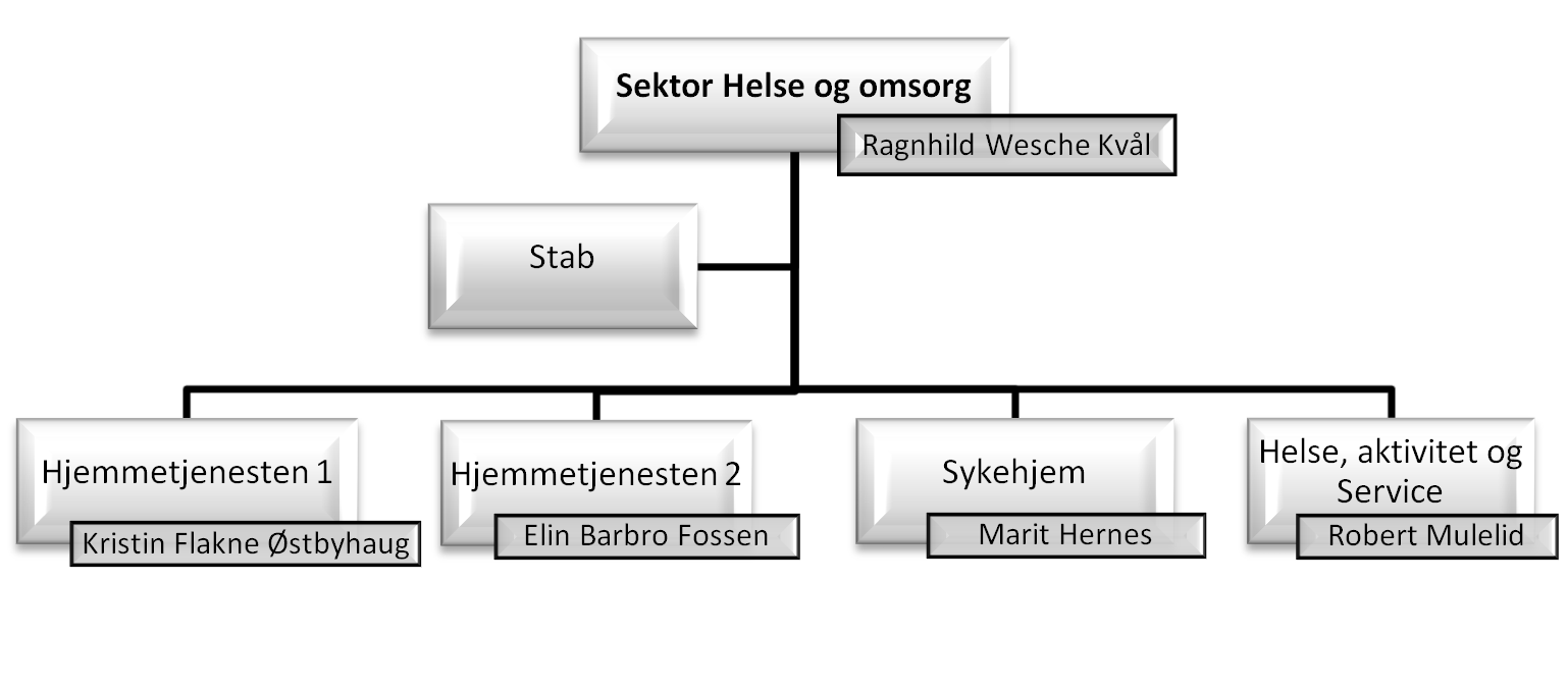 8 SEKTOR HELSE OG SOSIAL Årsmelding med regnskapstall, bemanningsoversikt og nøkkeltall for tjenestene presenteres nedenfor. Mer utfyllende beskrivelse fremkommer under hvert enkelt tjenesteområde.