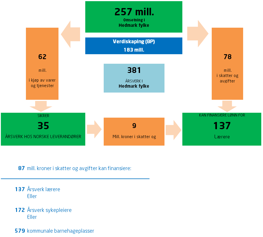 Taxi Hedmark oppgir at Hedmark fylke hadde en samlet omsetning på 257 mill. kroner i 2014. Dette inkluderer omsetningen hos alle sentralen og drosjene i Hedmark fylke.