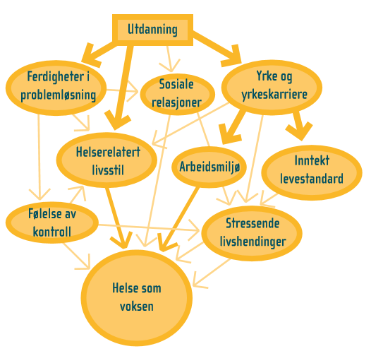 Figur 3-8 En sammenfatning av utdanning som årsak til helse Kilde: Elstad (2008), s.