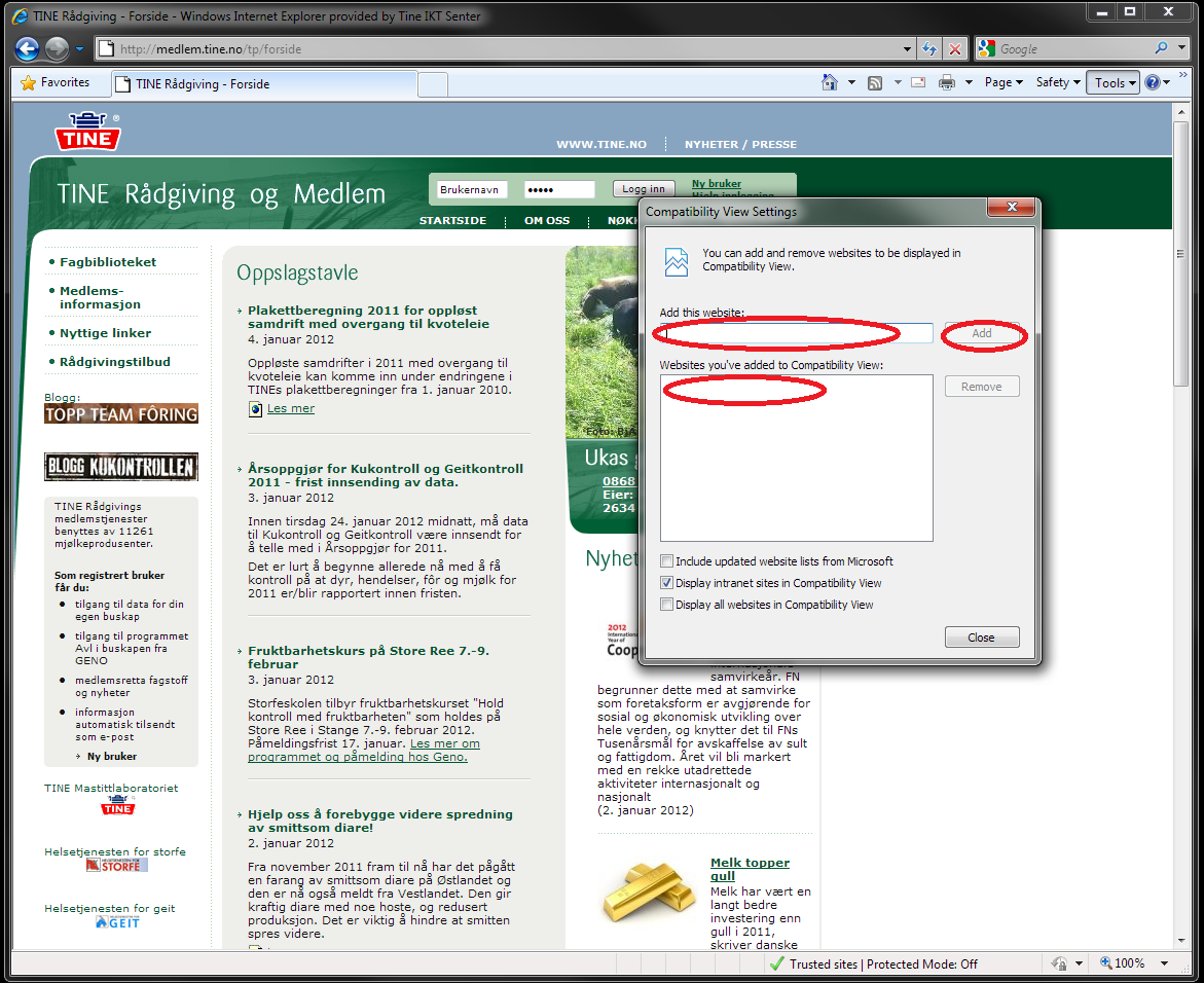 tine.no, men kan være verdt et forsøk hvis visningen ser rar ut. Om bakover kompatibilitet er aktivert på den siden du er på ser en i «Tools» («Verktøy») menyen.