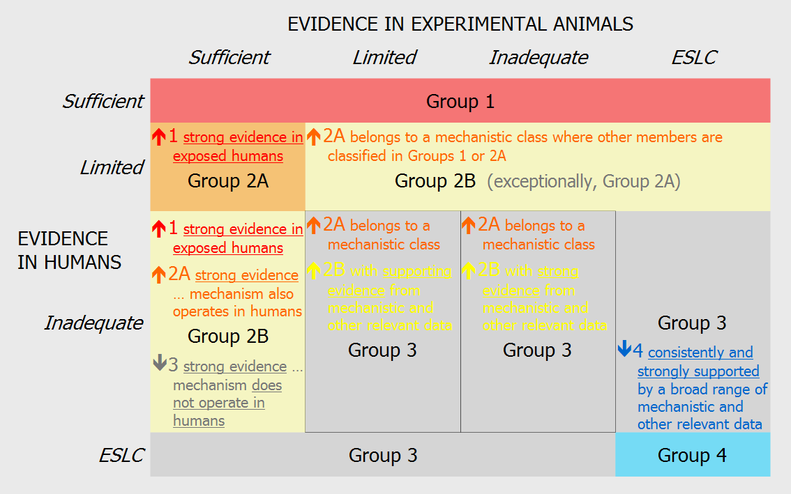 Adapted from: Kurt Straif, IARC, 2013 Criteria for IARC