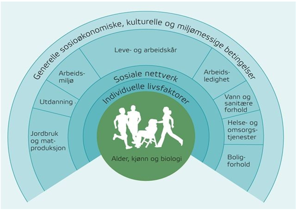 Sykdomsmønster speiler levevaner, miljø og levekår Mange kommuner spør etter statistikk om kosthold, fysisk aktivitet og andre levevaner.