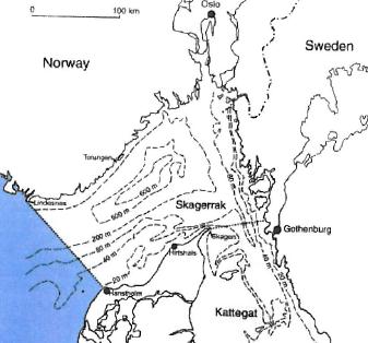 stagnerende dypvann, som kan bli helt råttent før det skiftes ut. Slike terskelfjorder er sårbare for økt sedimentasjon av organisk materiale, som bl.a. forårsakes av overgjødsling.